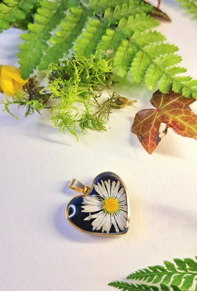 Daisy Heart