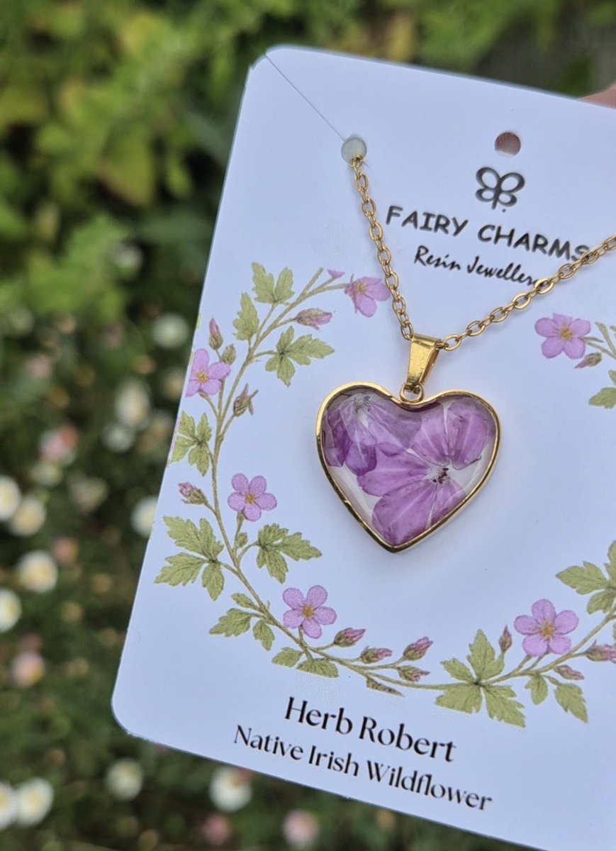 Herb Robert Heart